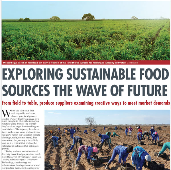 Exploring Sustainable Food Sources